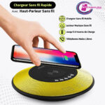 SAWEI Y290 5W Chargeur