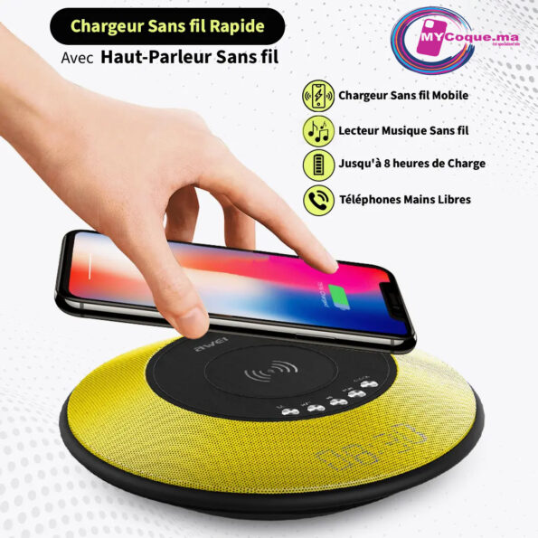 SAWEI Y290 5W Chargeur